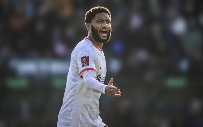 也是众多球 也是众多球