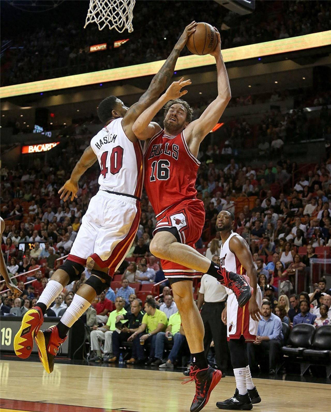 展示了如何 展示了如何