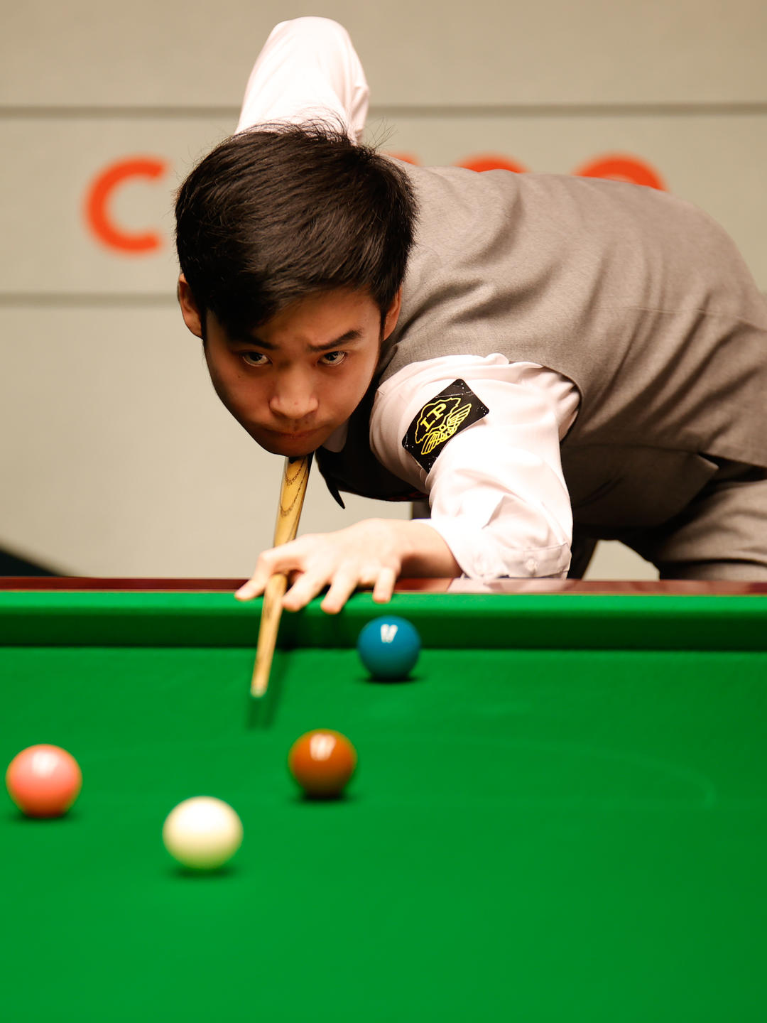 因此常规赛 因此常规赛